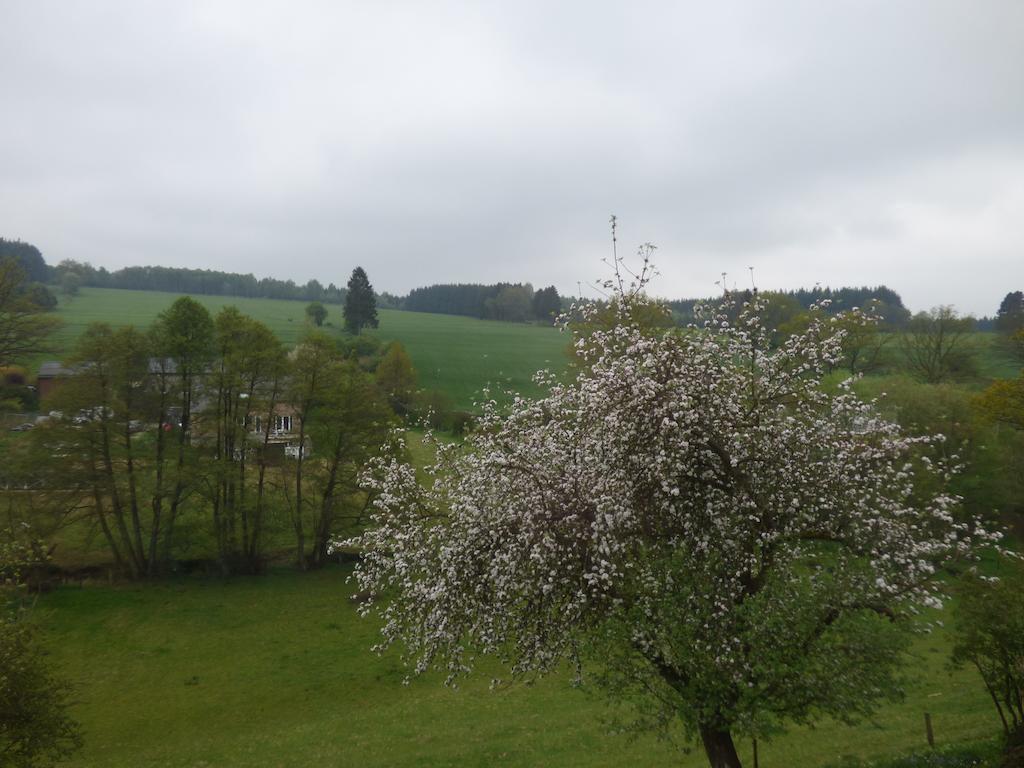 Gite De L'Epilobe Vielsalm Quarto foto